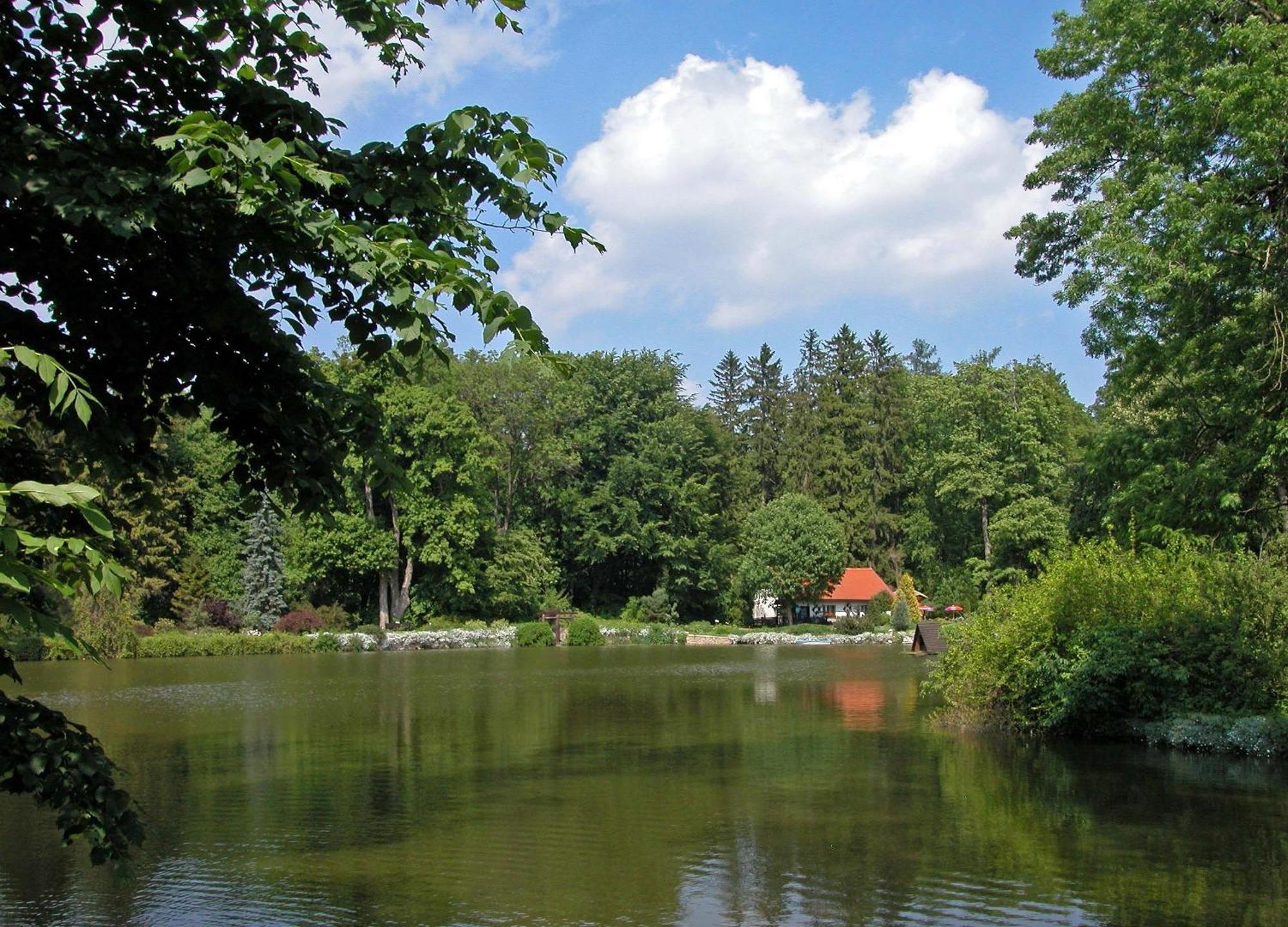 Bed and Breakfast Rezkakas Fogado Зирц Экстерьер фото